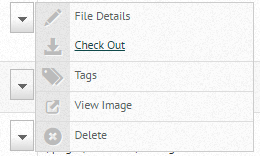 Check In and Check Out Feature Check In and Check Out Feature